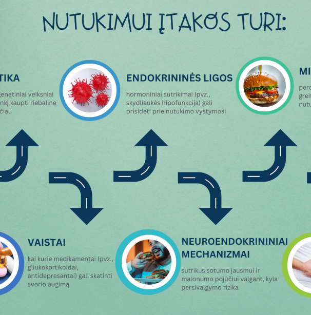 Nutukimas_infografikas